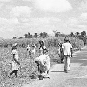 University of Cambridge launches special scholarship for Indian students to study the history of Indian indentured labor
